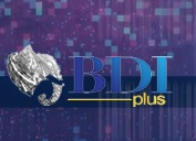 https://bdiplus.com/